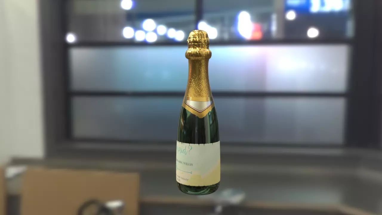 Champagne wine Low-poly 3D model_0