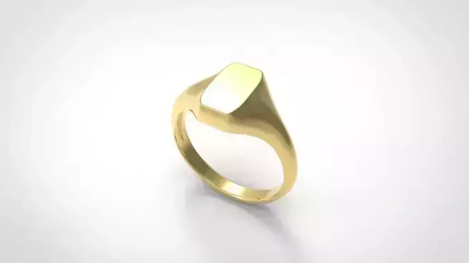 Signet men ring model