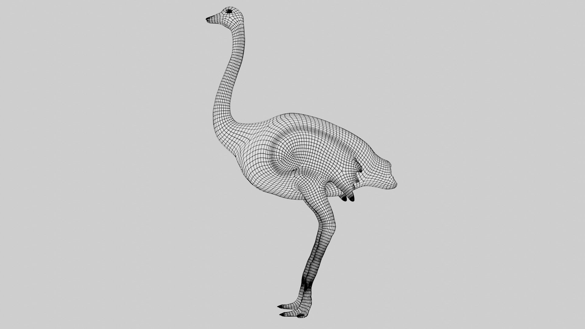 Ostrich low poly fully rigged Low-poly 3D model_11