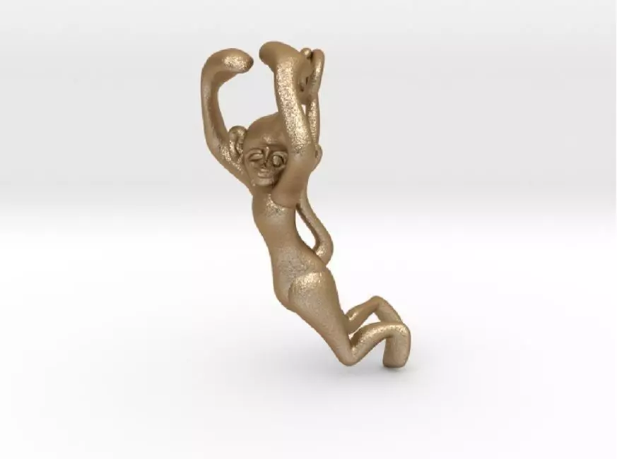 3D-Monkeys 236 3D print model_0