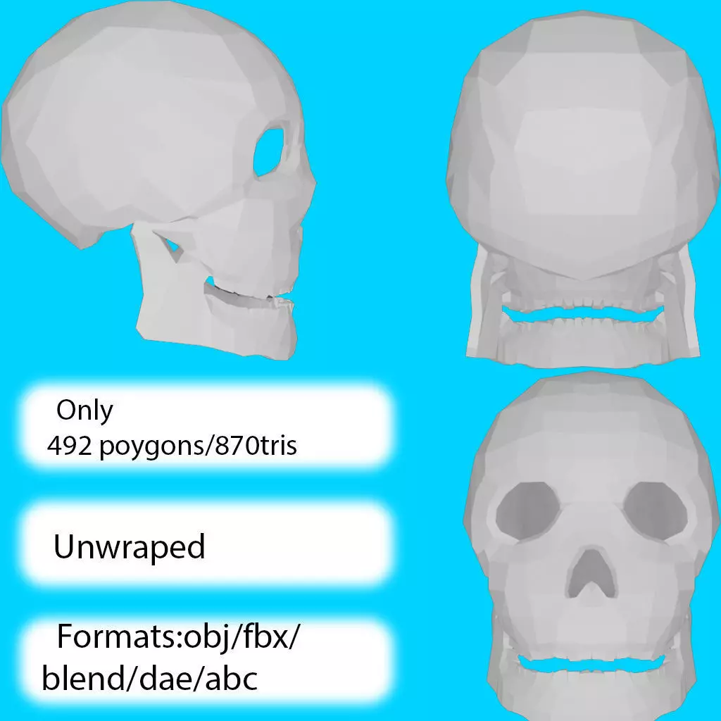 Low-poly skull Low-poly 3D model_0