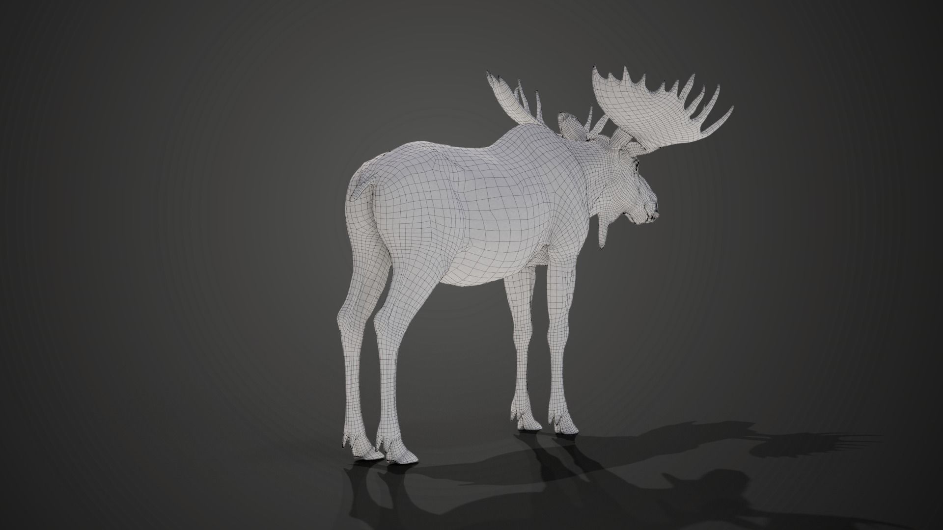 Moose Male Animated 3D model_21