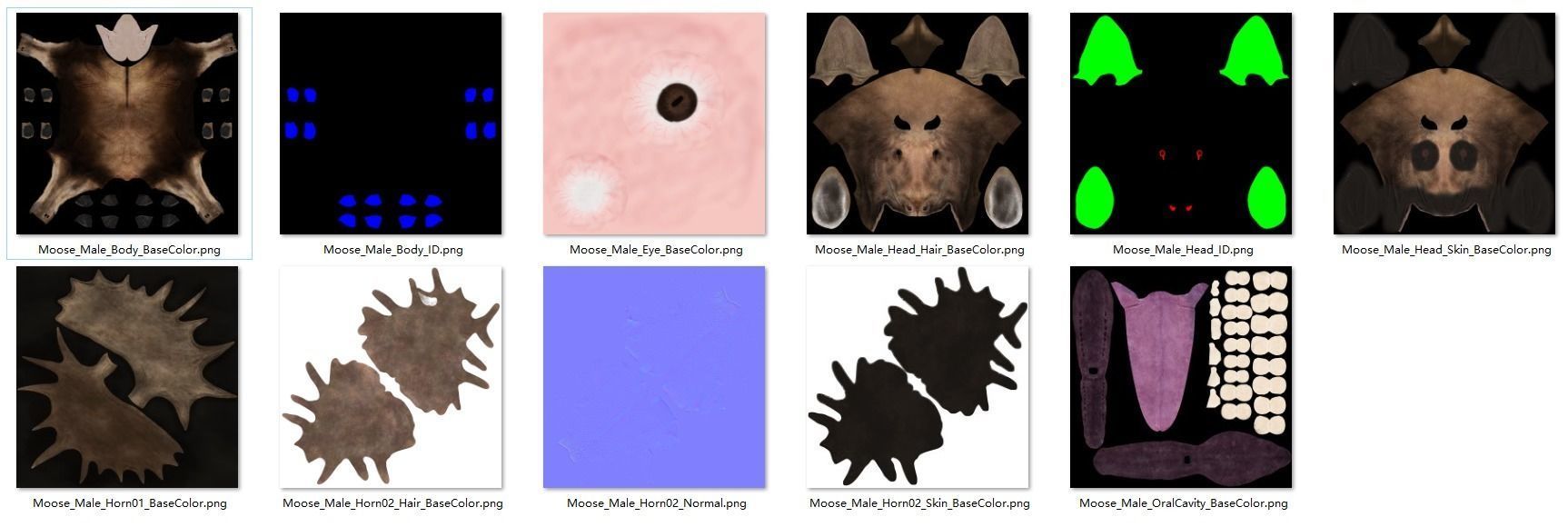 Moose Male Animated 3D model_18