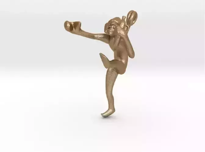 3D-Monkeys 245 3D print model