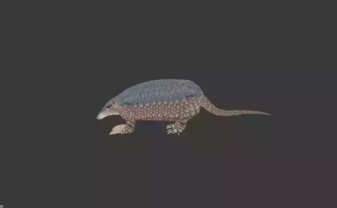 Giant Armadillo