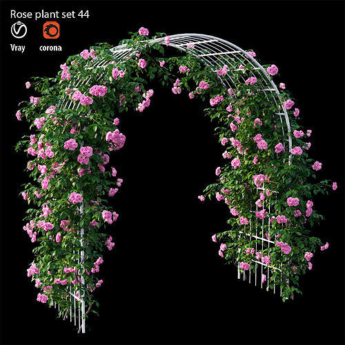 Rose plant set 44 3D model