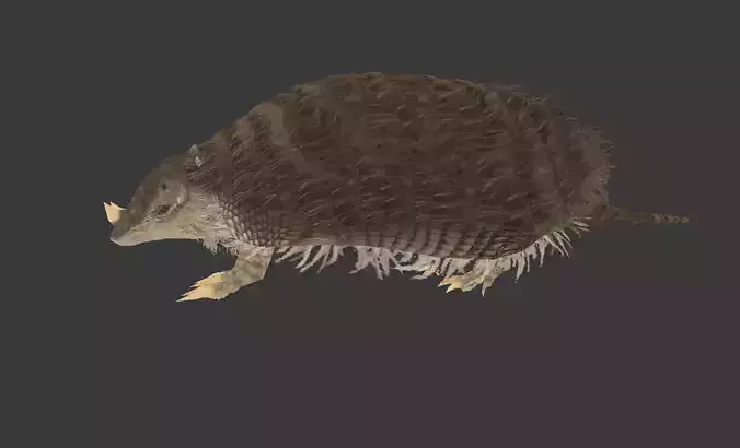Peltephilus armadillo