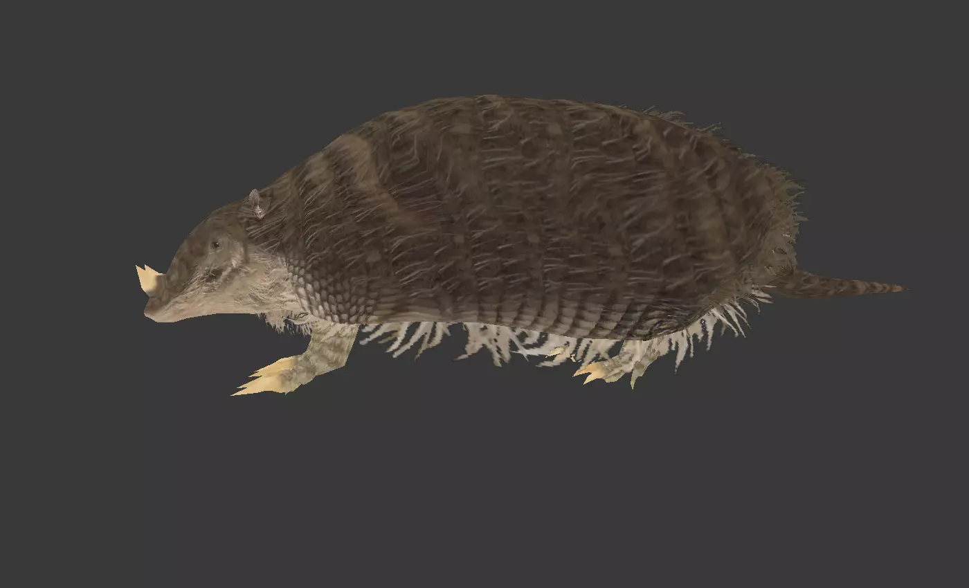 Peltephilus armadillo Low-poly 3D model_0