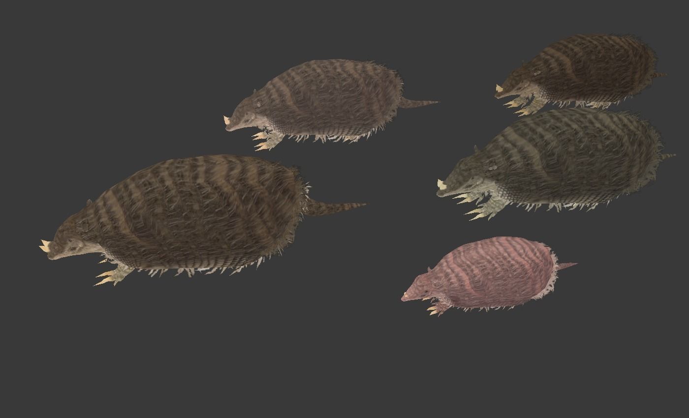 Peltephilus armadillo Low-poly 3D model_2