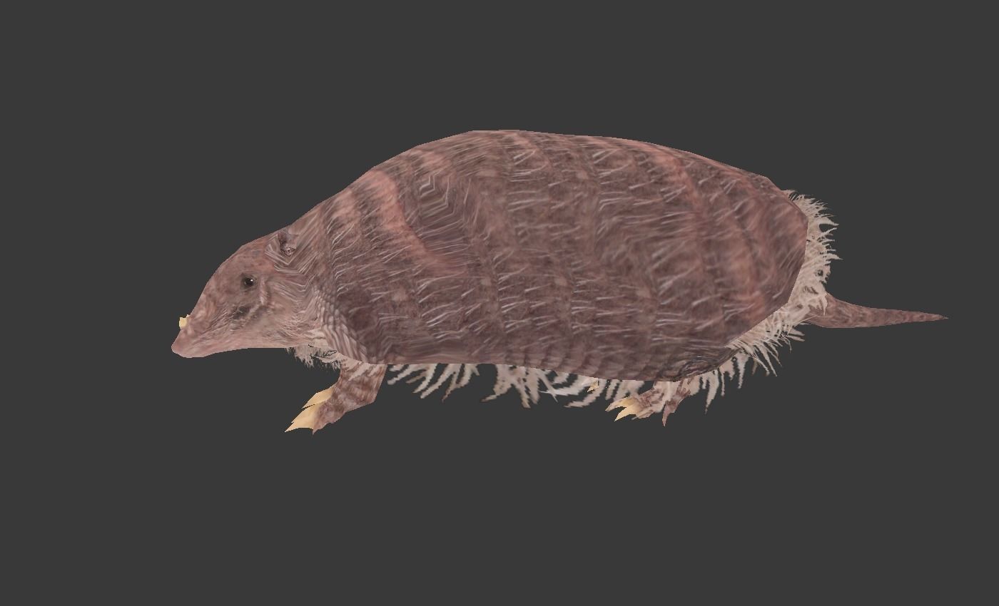 Peltephilus armadillo Low-poly 3D model_1