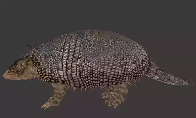 Pampatherium armadillo