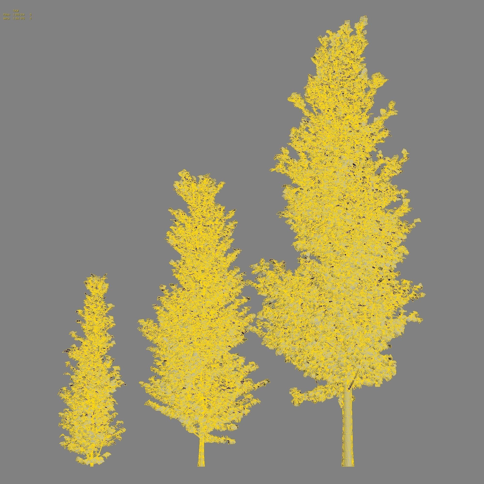 Ginkgo Lemonlime Spire Trees different ages 3D model_2
