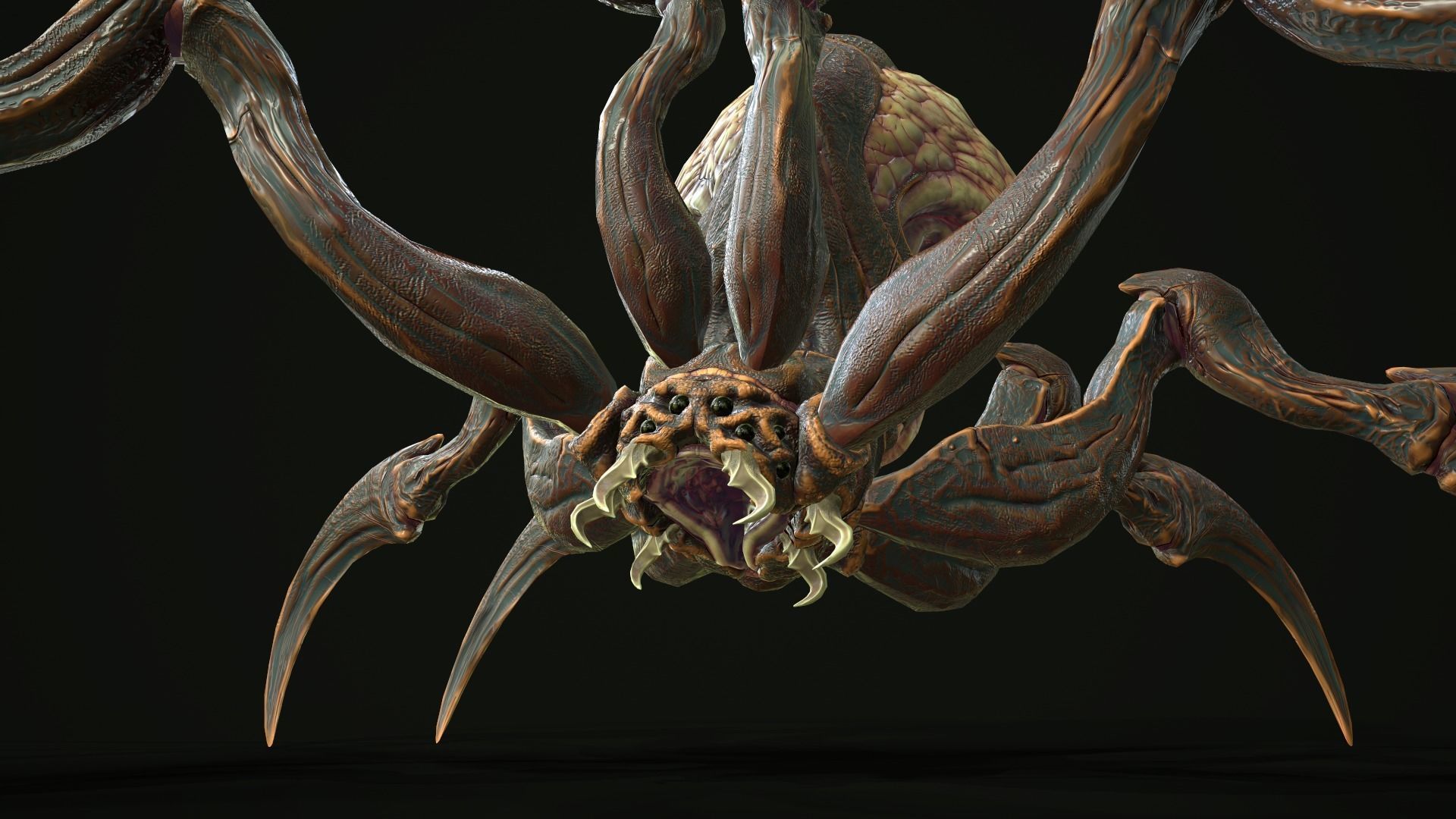 Spider 1 alien creature with long tentacles Low-poly 3D model_29