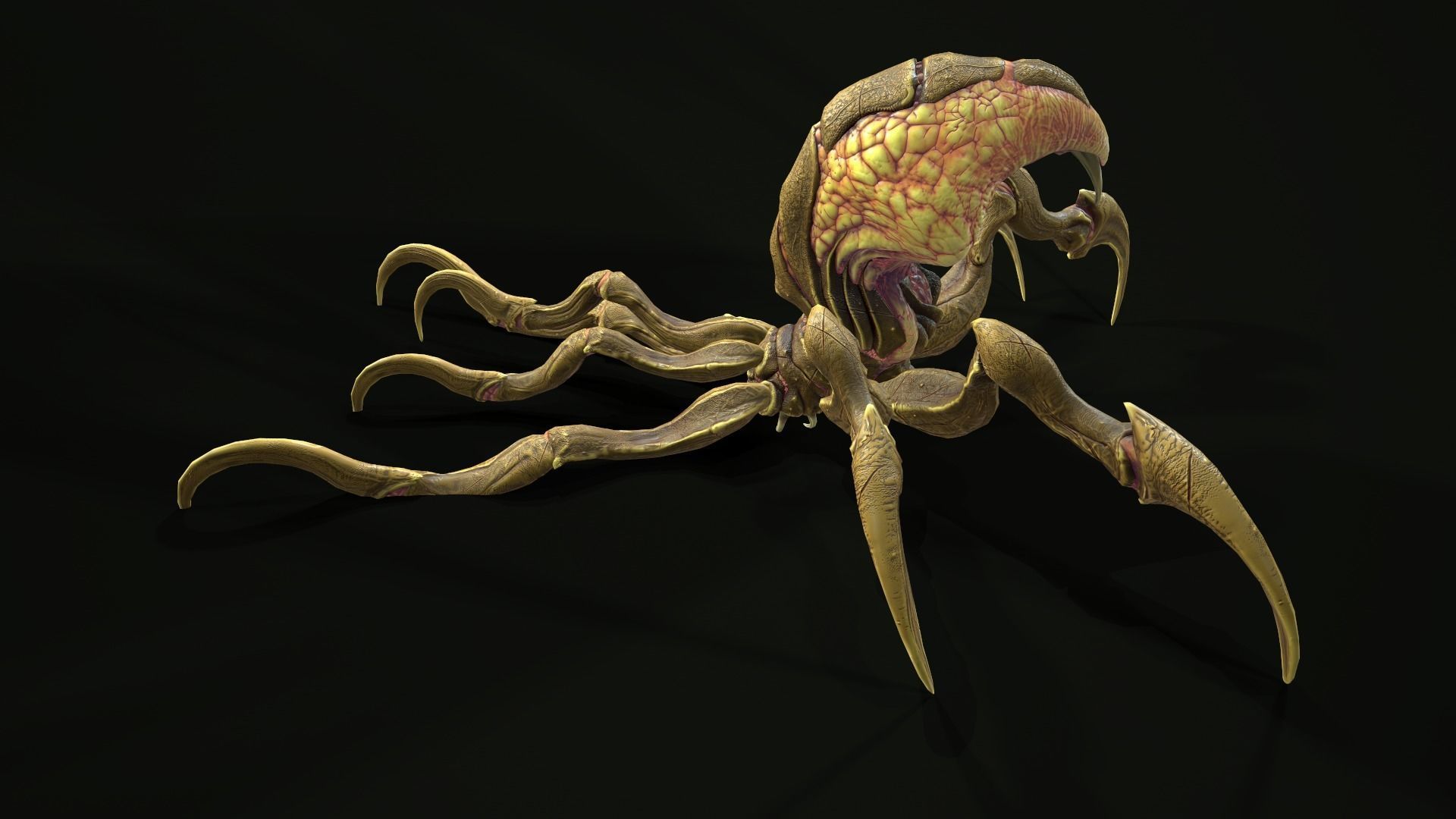 Spider 1 alien creature with long tentacles Low-poly 3D model_26