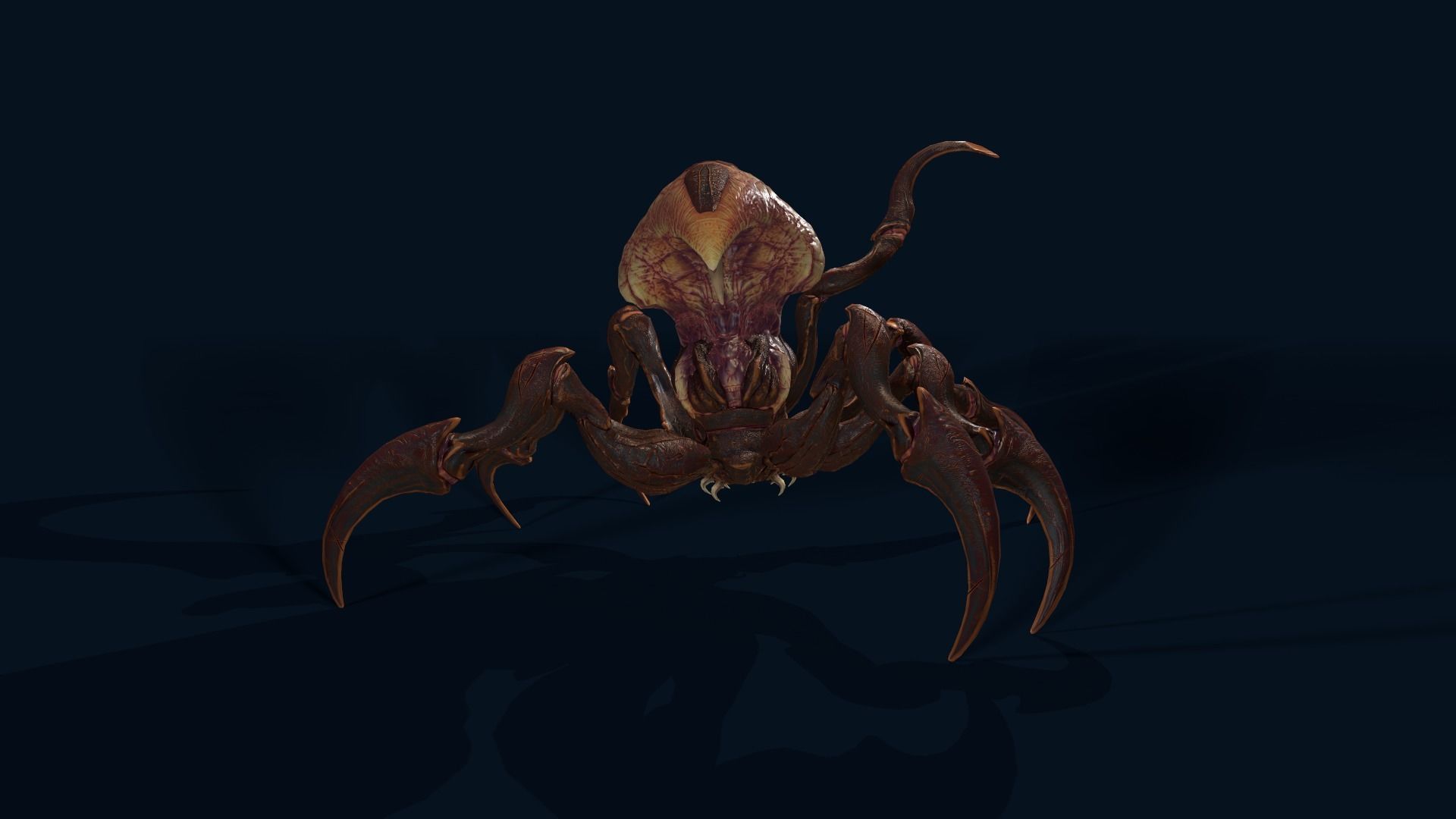 Spider 1 alien creature with long tentacles Low-poly 3D model_9