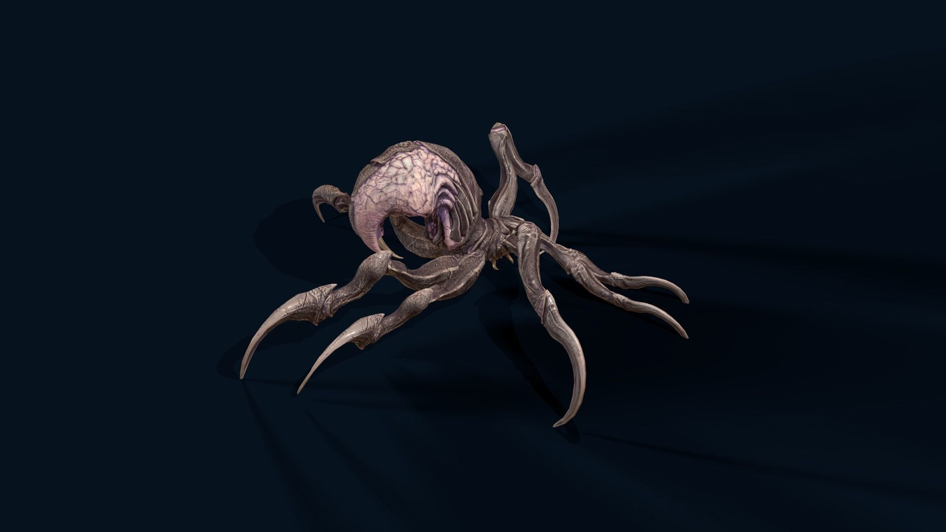 Spider 1 alien creature with long tentacles Low-poly 3D model_8
