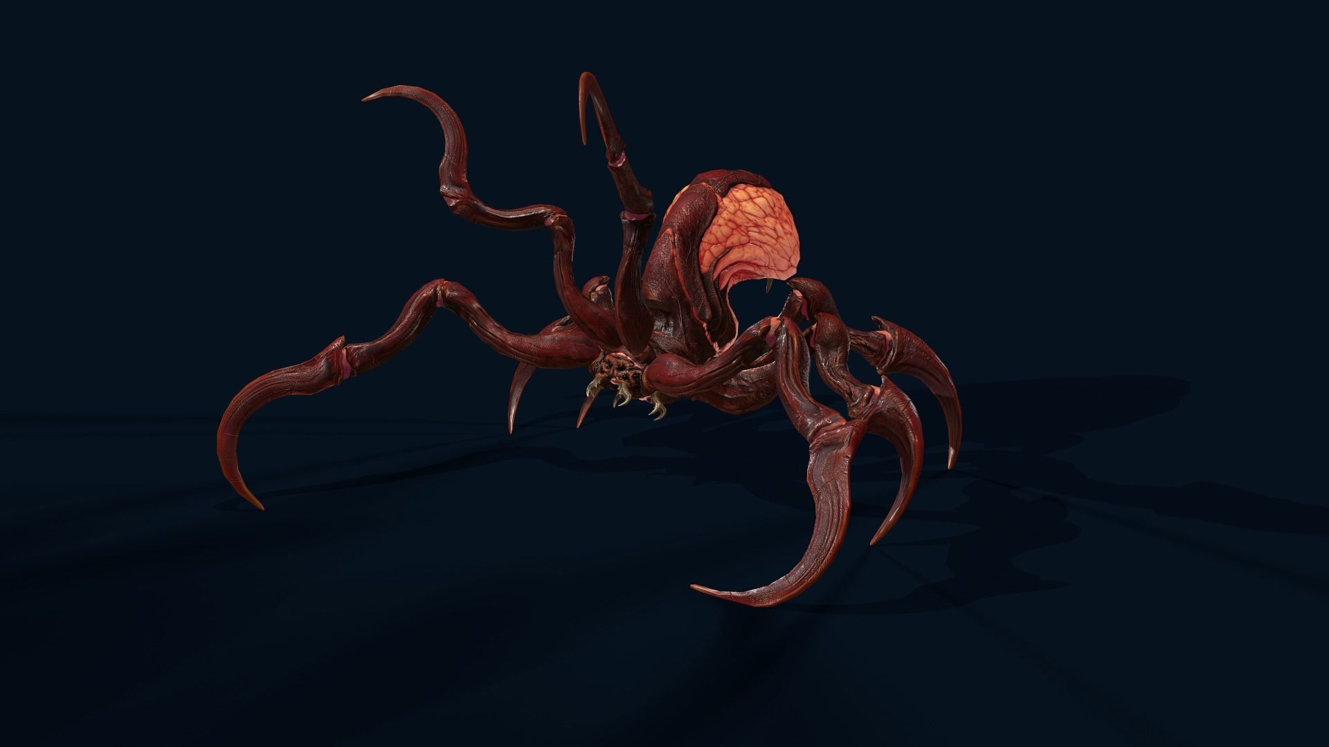 Spider 1 alien creature with long tentacles Low-poly 3D model_15