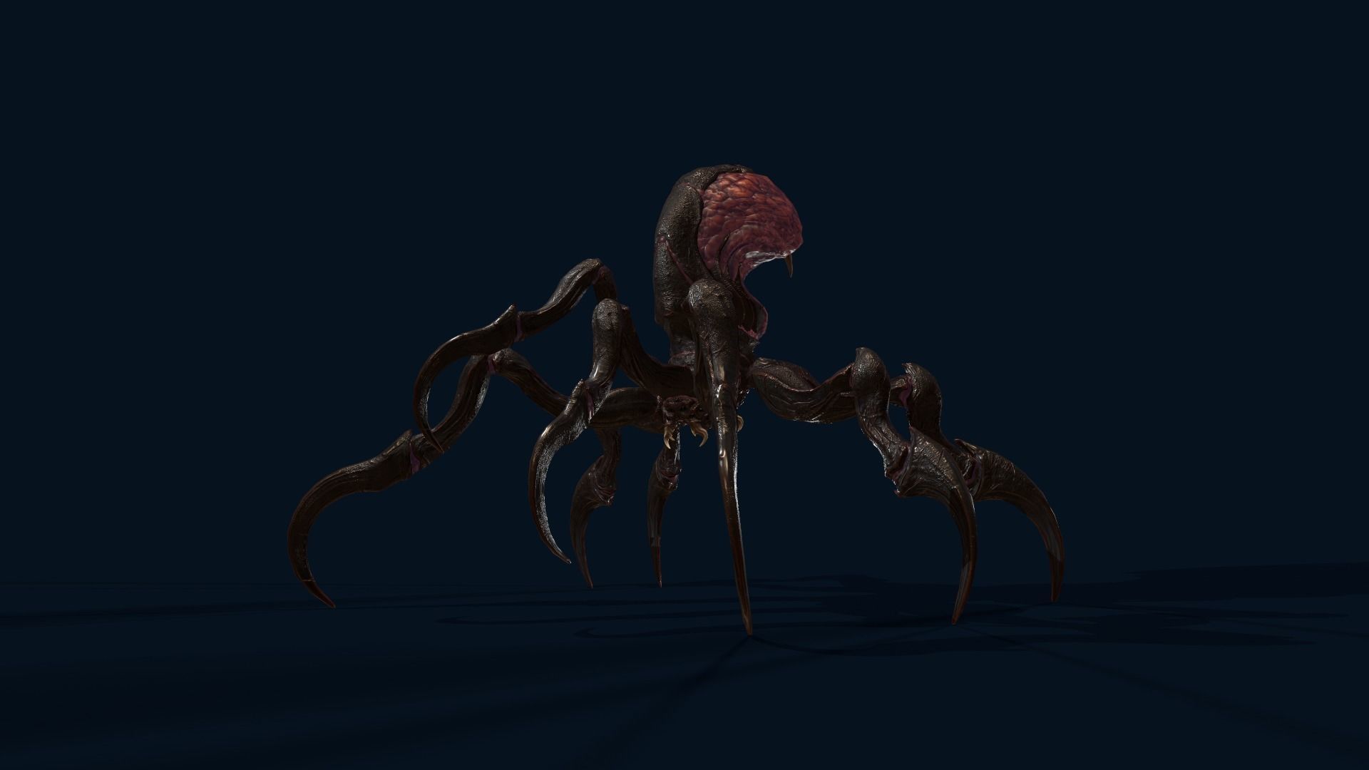 Spider 1 alien creature with long tentacles Low-poly 3D model_13
