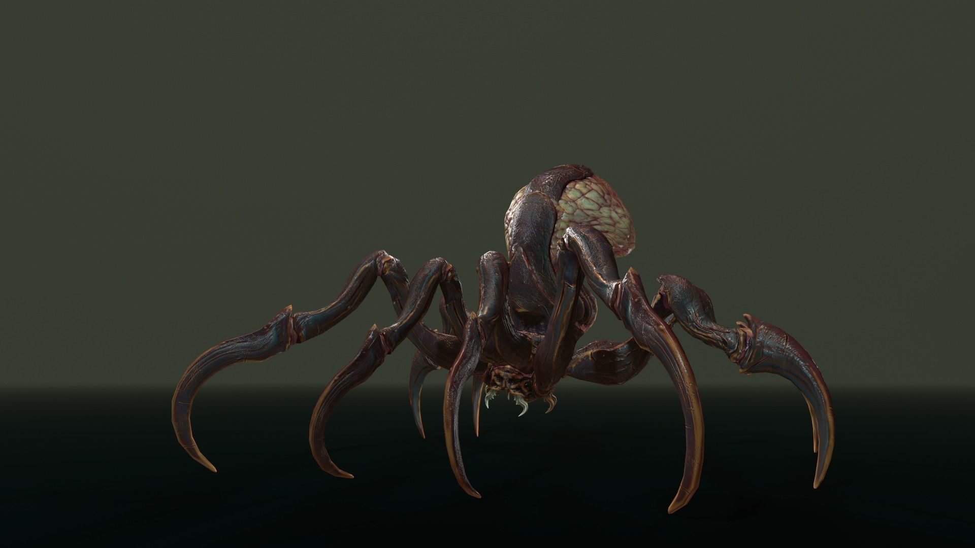 Spider 1 alien creature with long tentacles Low-poly 3D model_18