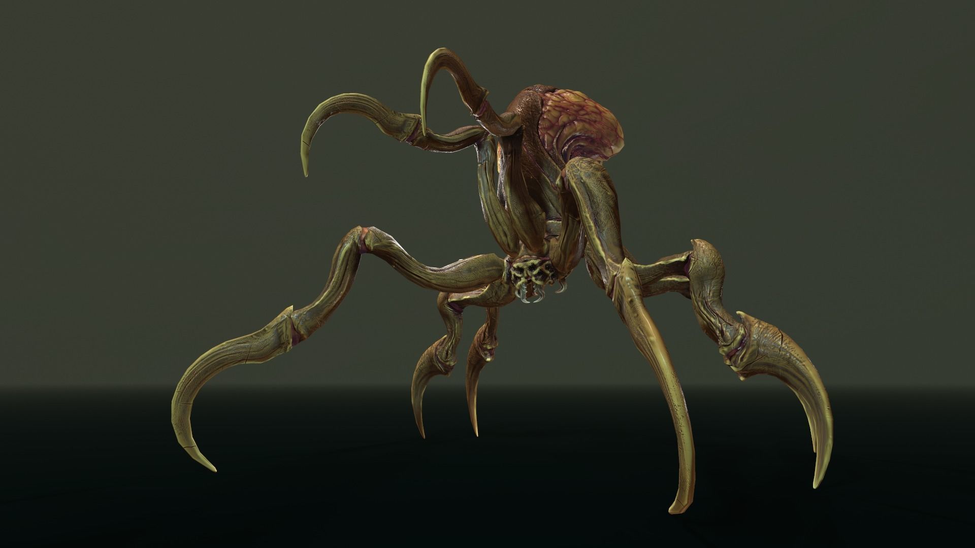 Spider 1 alien creature with long tentacles Low-poly 3D model_17