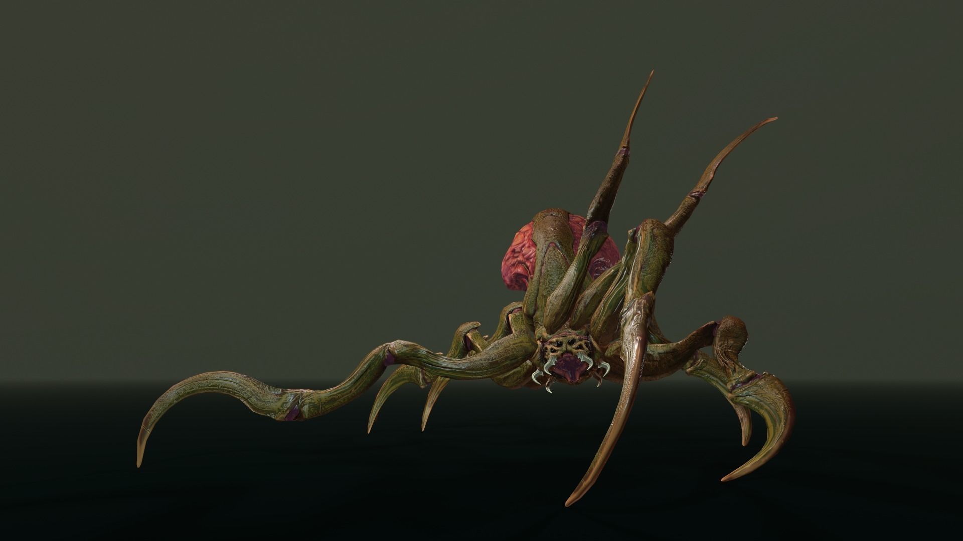 Spider 1 alien creature with long tentacles Low-poly 3D model_23