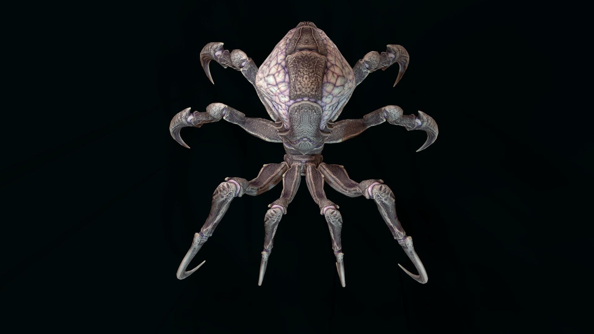 Spider 1 alien creature with long tentacles Low-poly 3D model_4