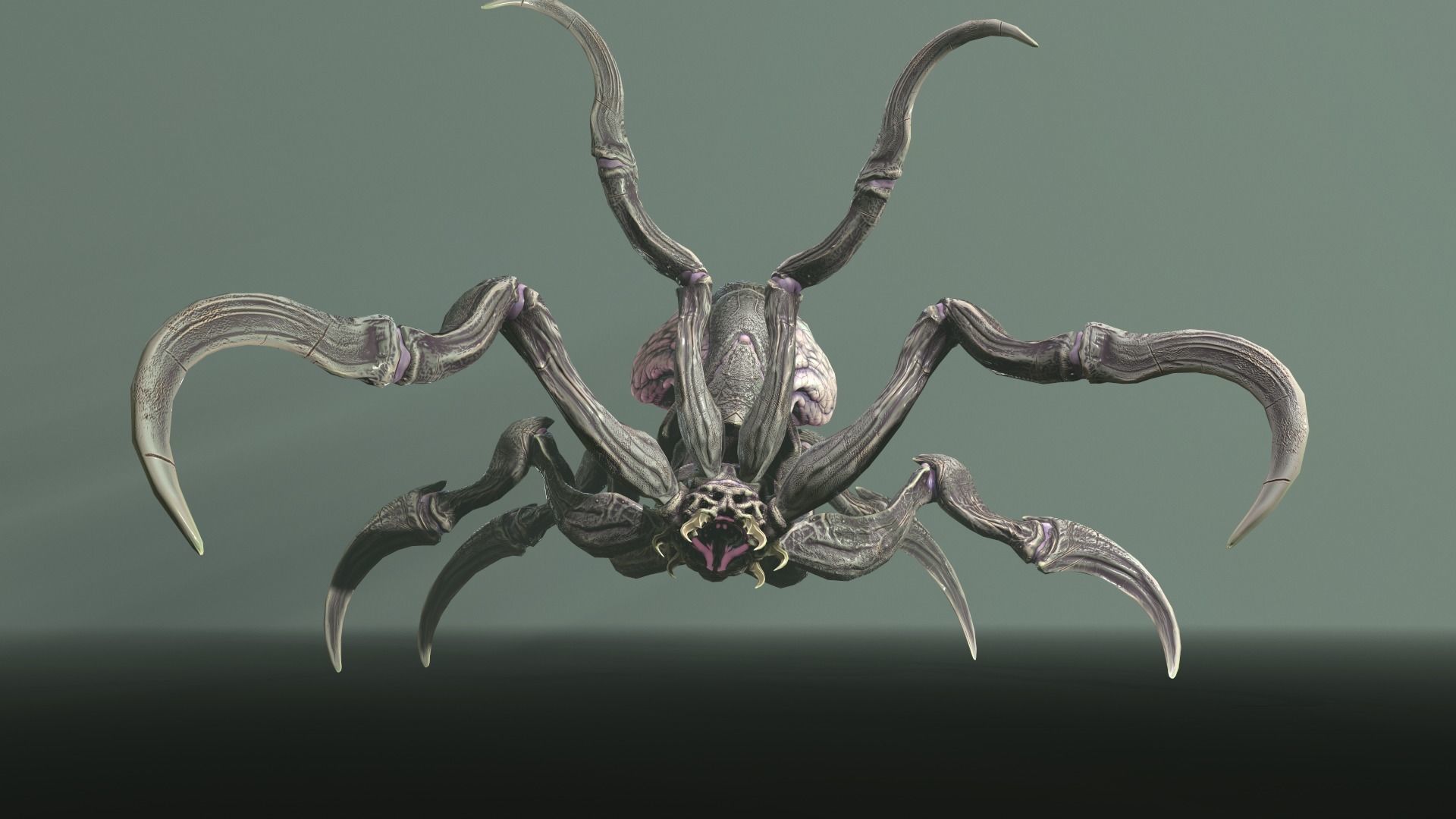 Spider 1 alien creature with long tentacles Low-poly 3D model_19
