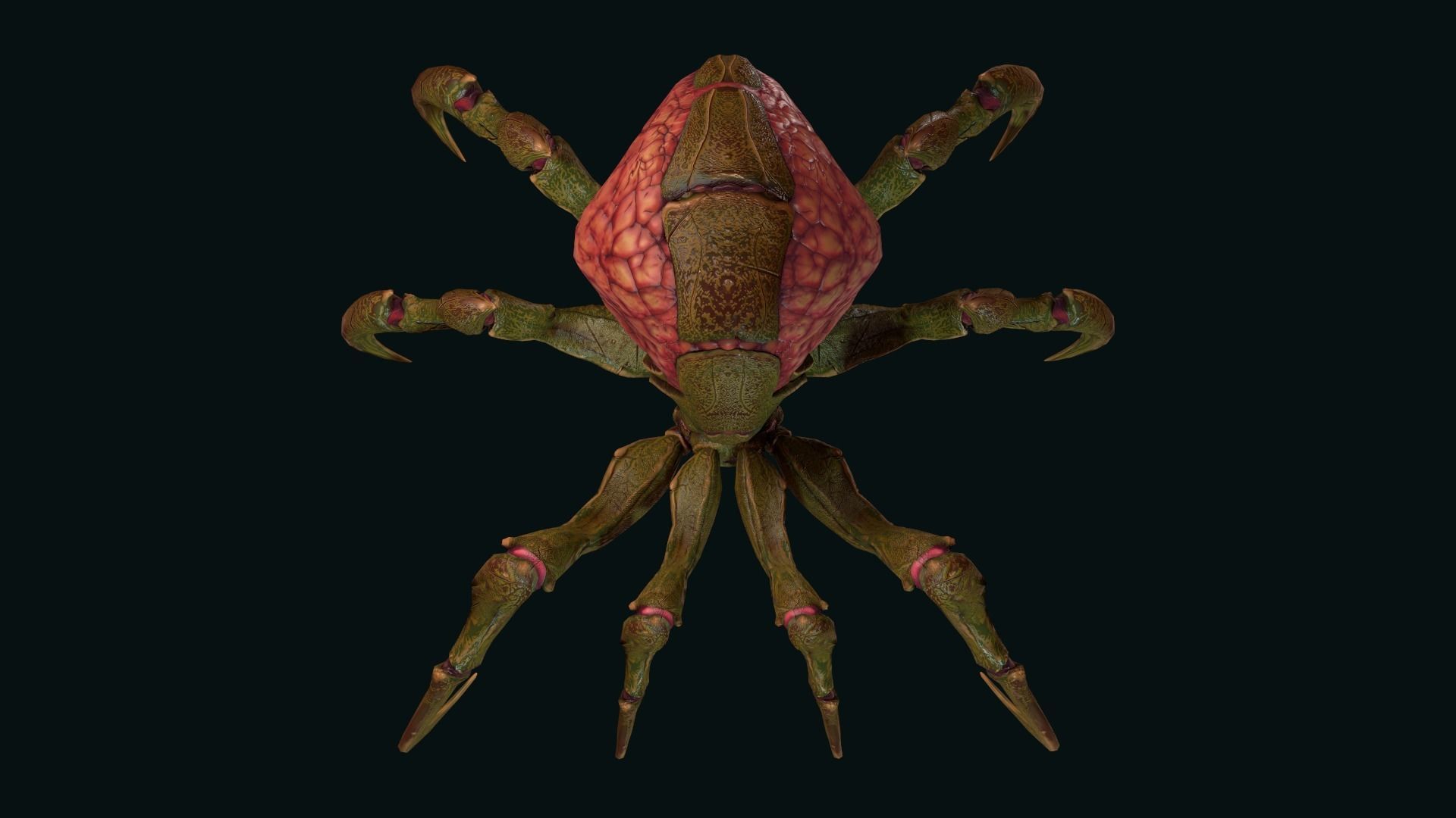 Spider 1 alien creature with long tentacles Low-poly 3D model_5