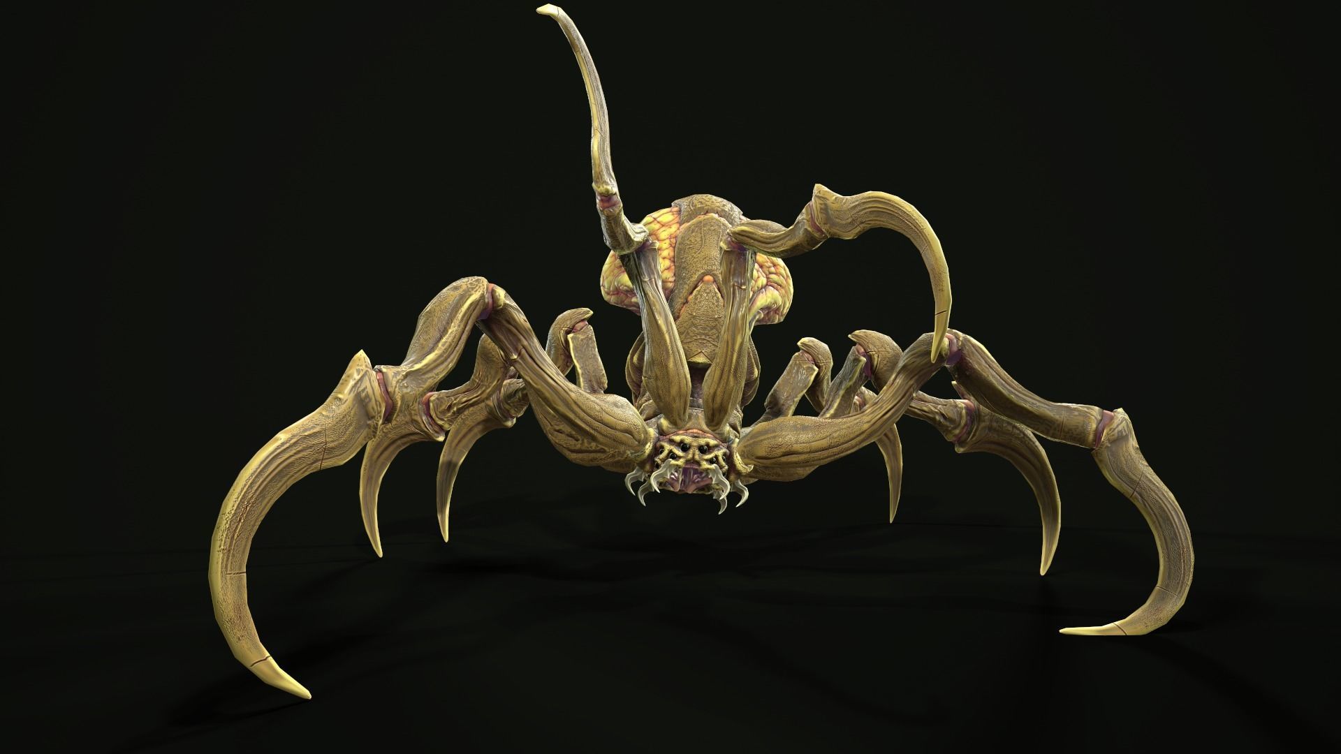Spider 1 alien creature with long tentacles Low-poly 3D model_21