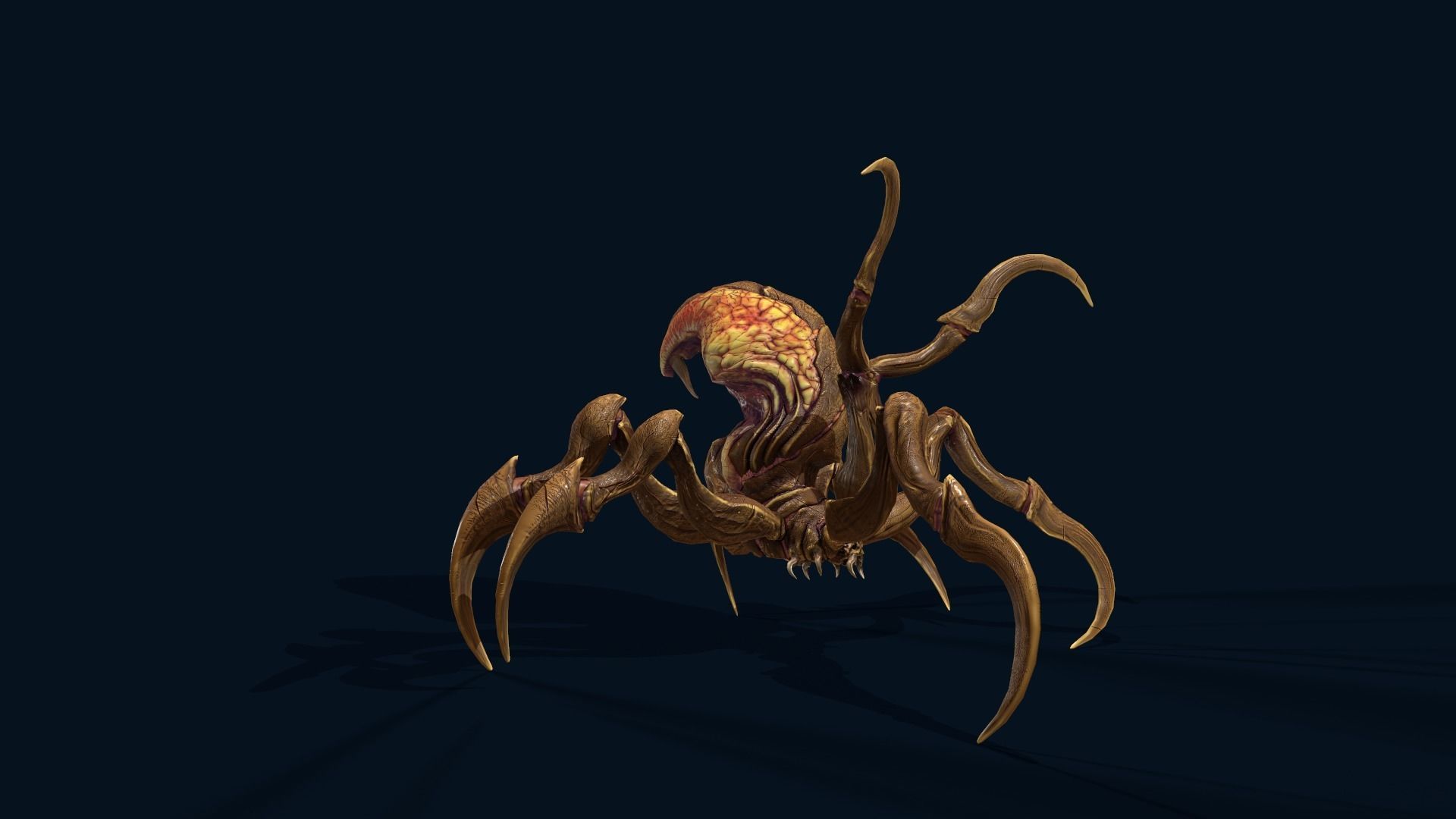 Spider 1 alien creature with long tentacles Low-poly 3D model_22