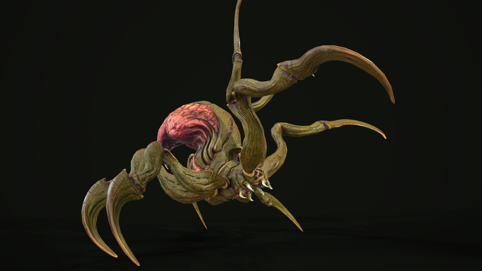 Spider 1 alien creature with long tentacles Low-poly 3D model_7