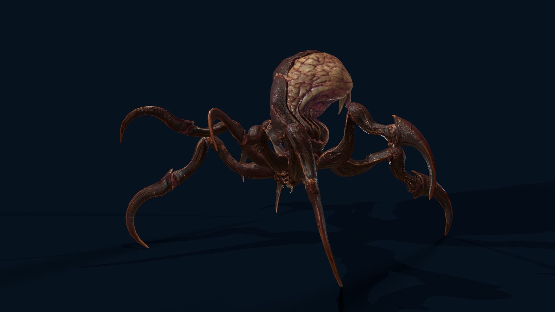 Spider 1 alien creature with long tentacles Low-poly 3D model_11