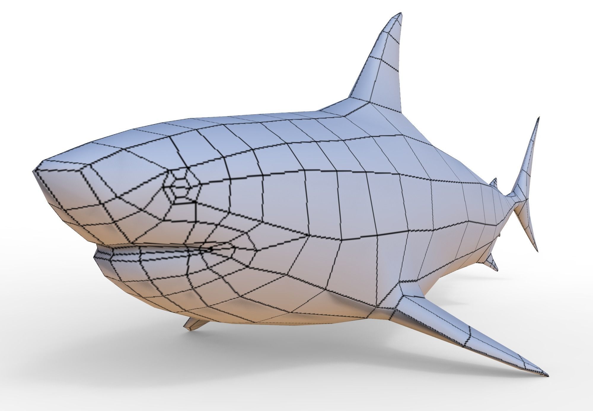Shark Low-poly 3D model_7