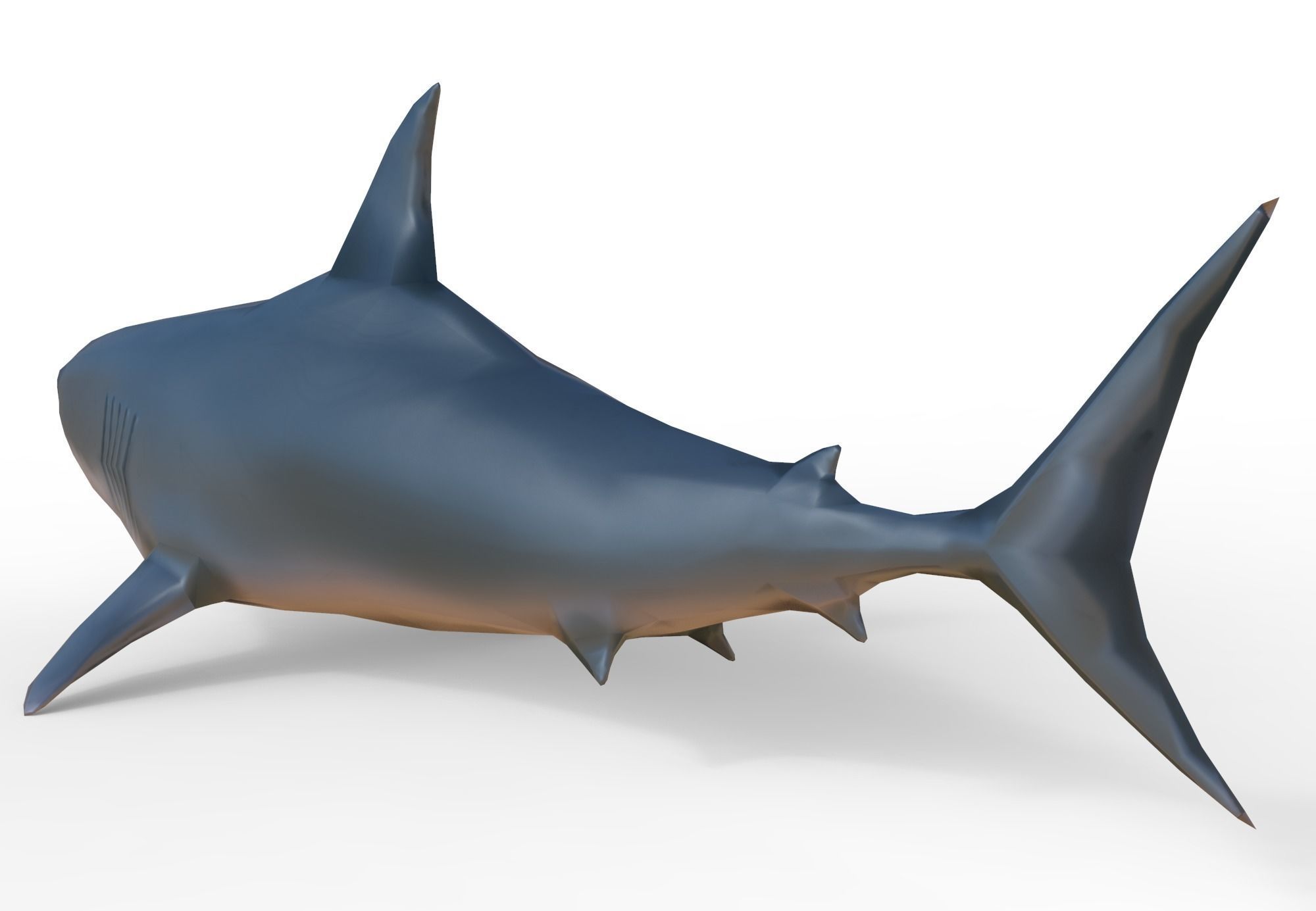 Shark Low-poly 3D model_3
