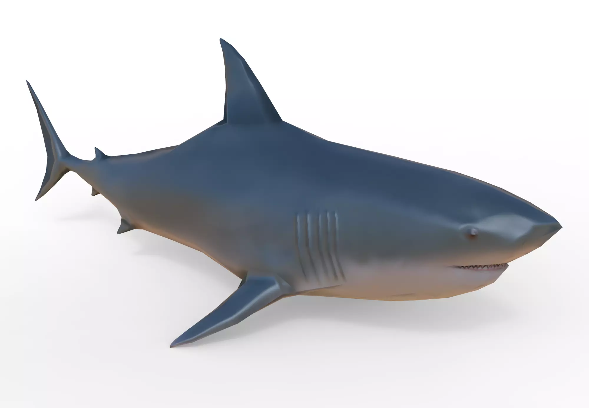 Shark Low-poly 3D model_0