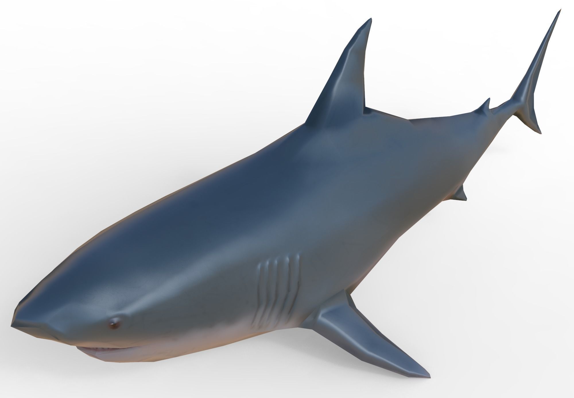 Shark Low-poly 3D model_1