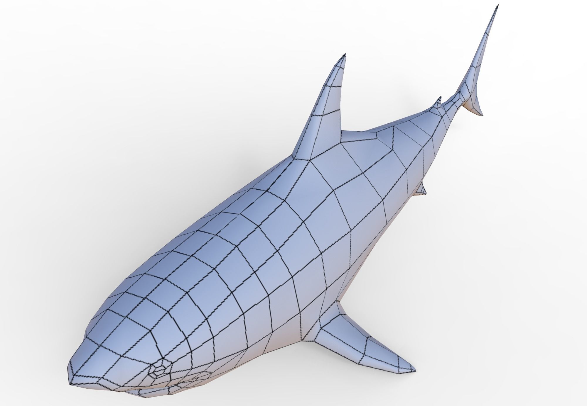 Shark Low-poly 3D model_2