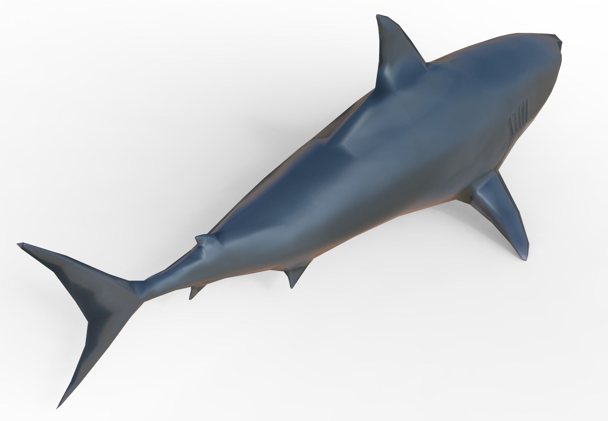 Shark Low-poly 3D model_4
