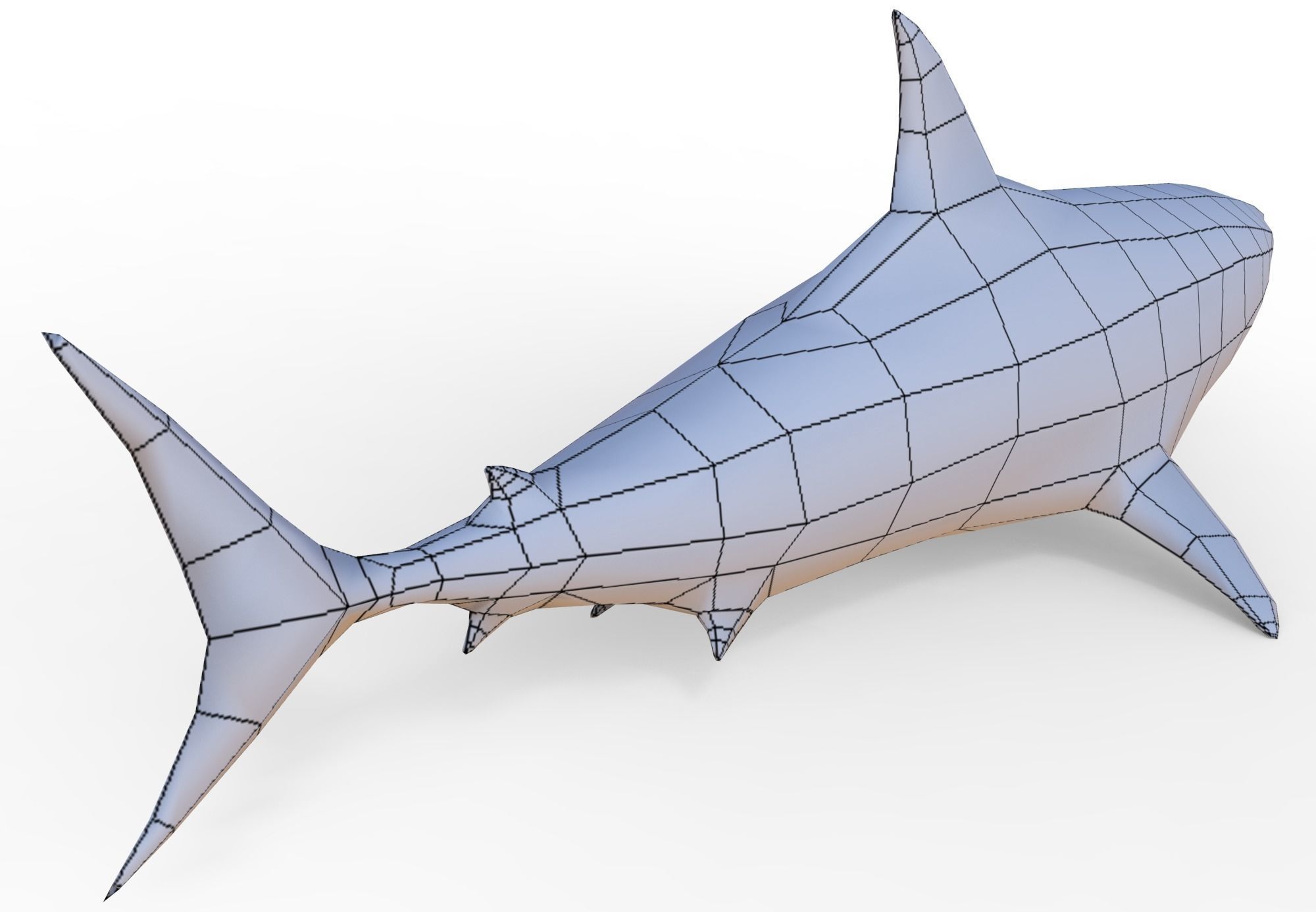 Shark Low-poly 3D model_5
