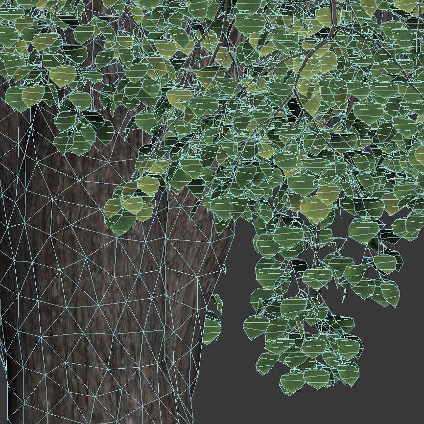 Tilia europaea Nr 10 H16-18m Two adult trees 3D model_5