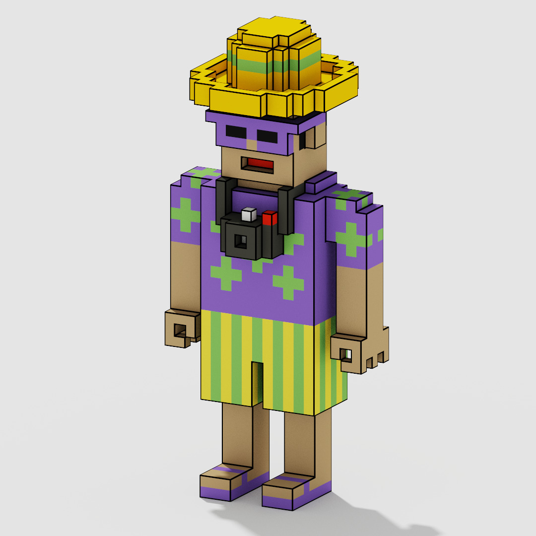 Voxel Character Pack Low-poly 3D model_34