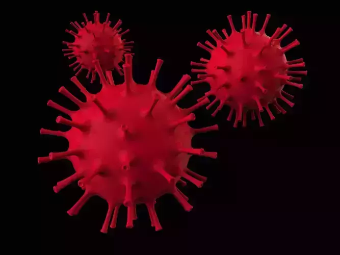 Corona Virus 3D Model 