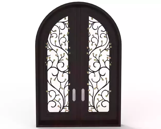 Luxury Entrance Door 