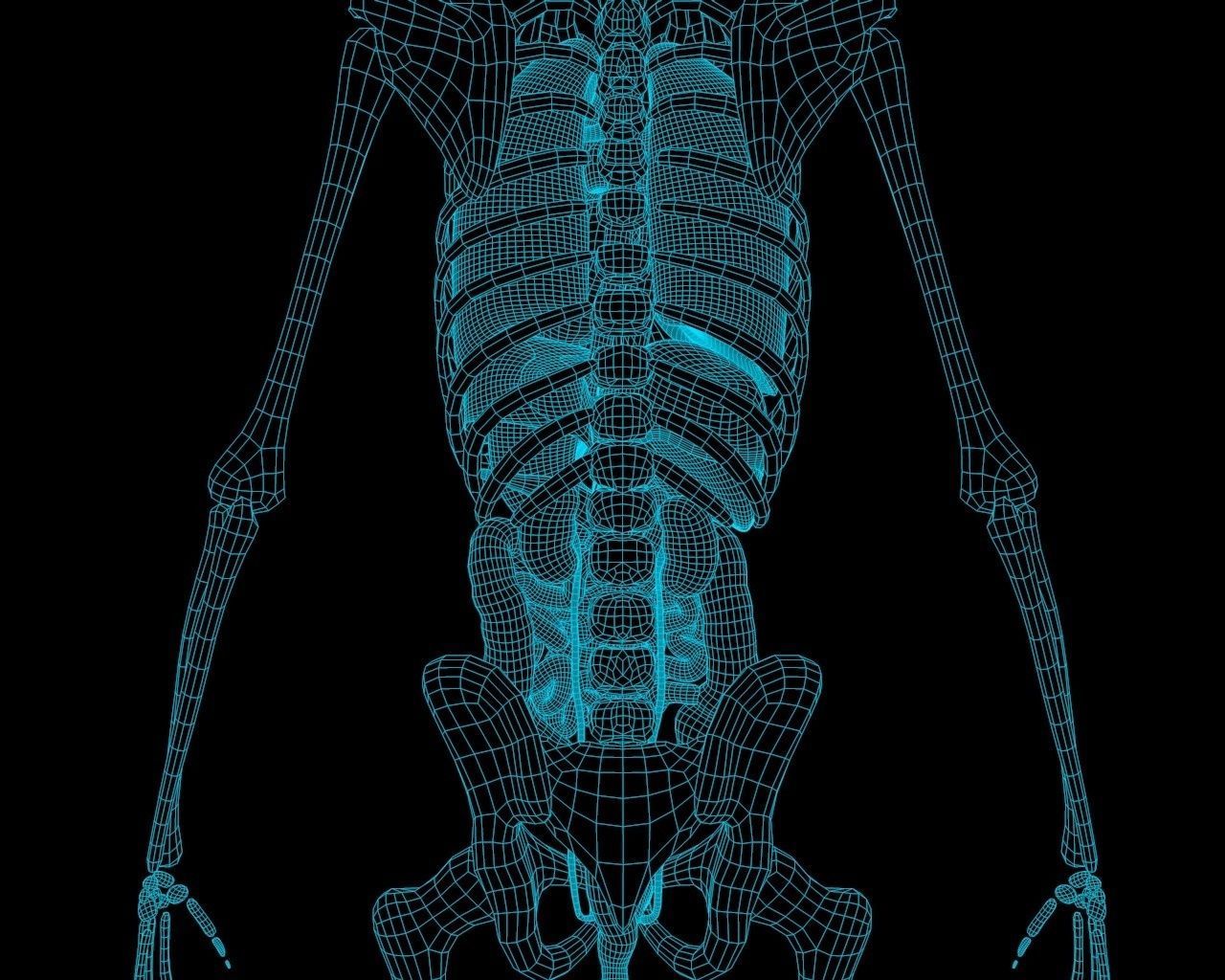 Xray Thorax and abdomen with internal organs 3D model_2