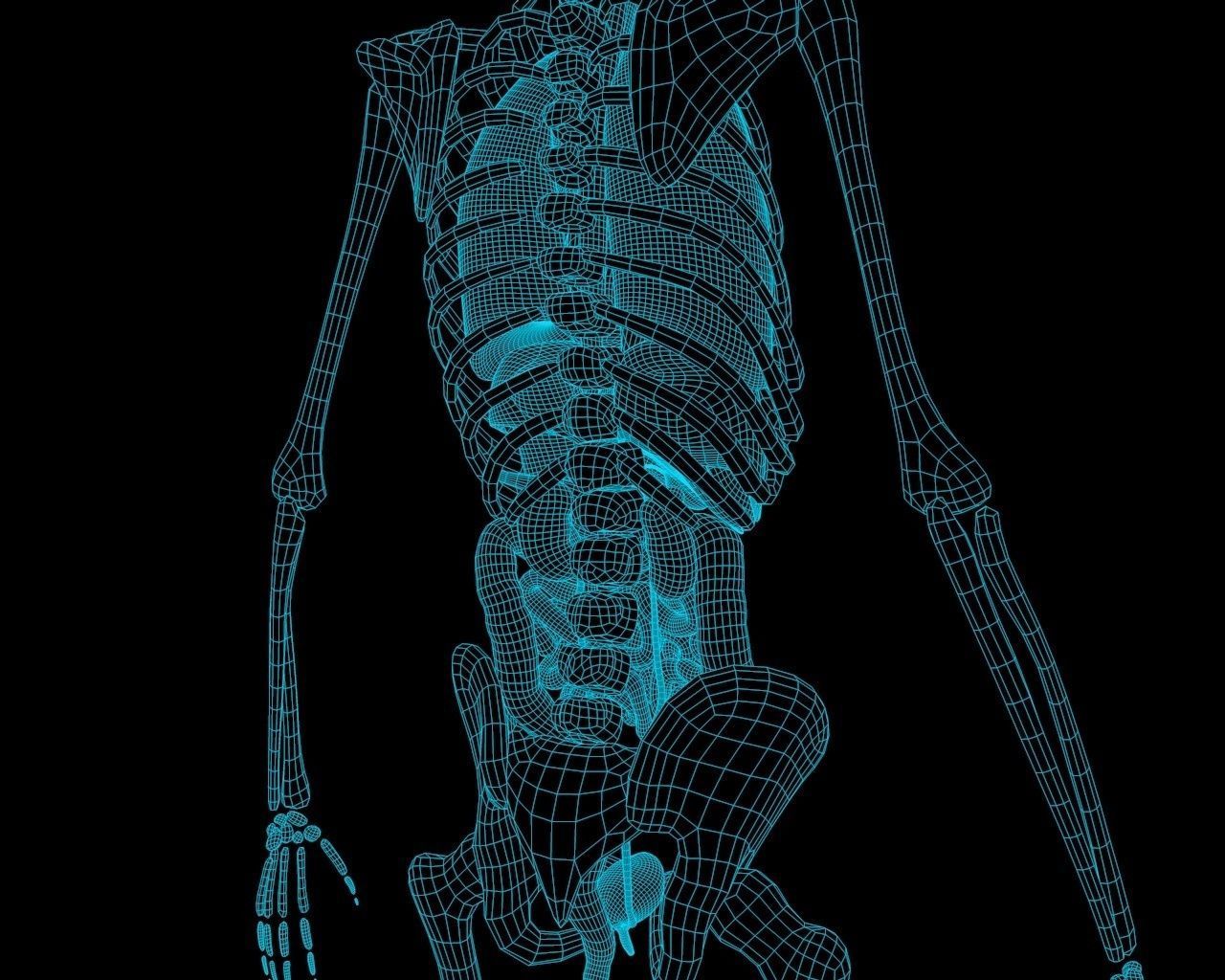 Xray Thorax and abdomen with internal organs 3D model_3