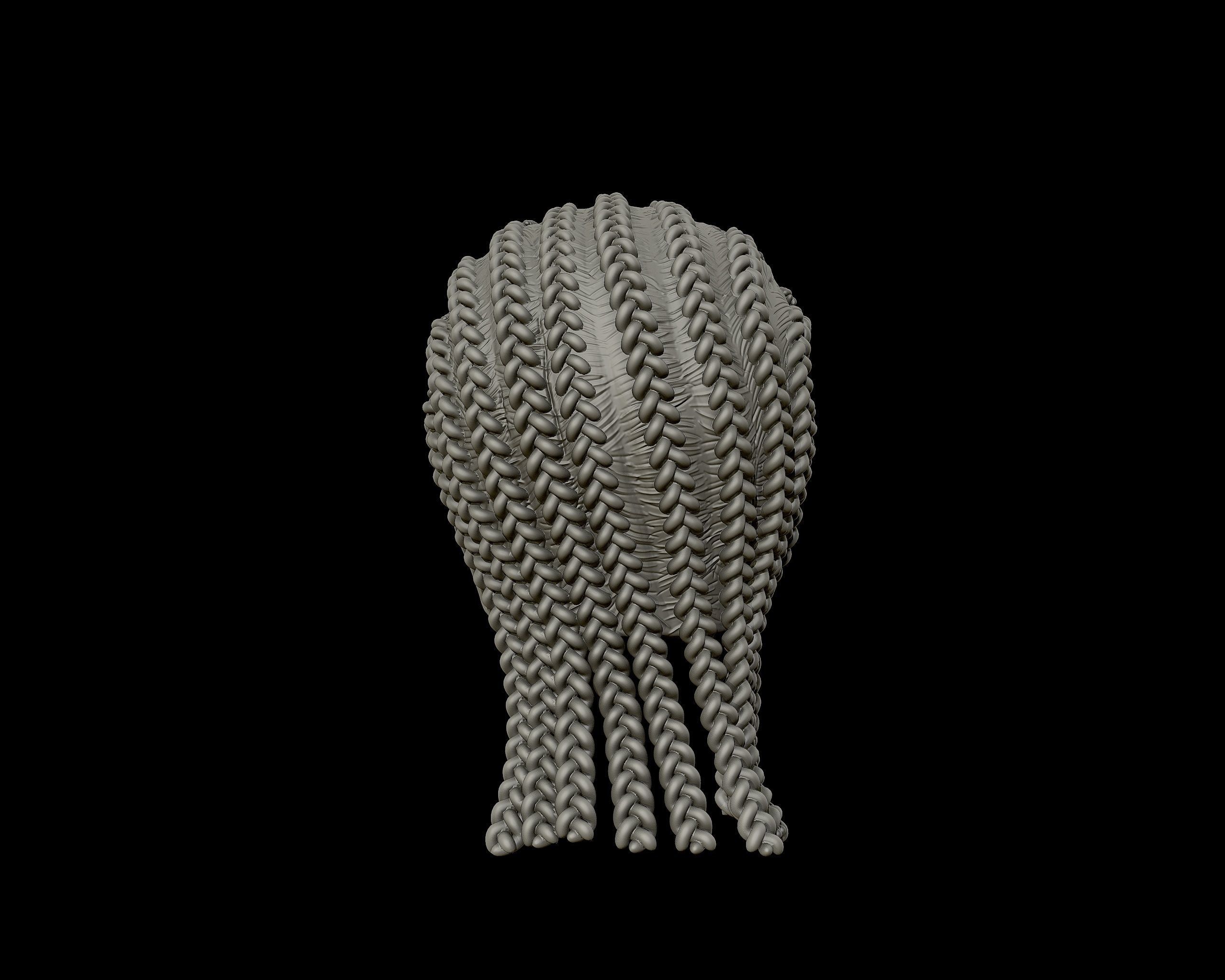 Braid Hairstyle 02 3D print model_15
