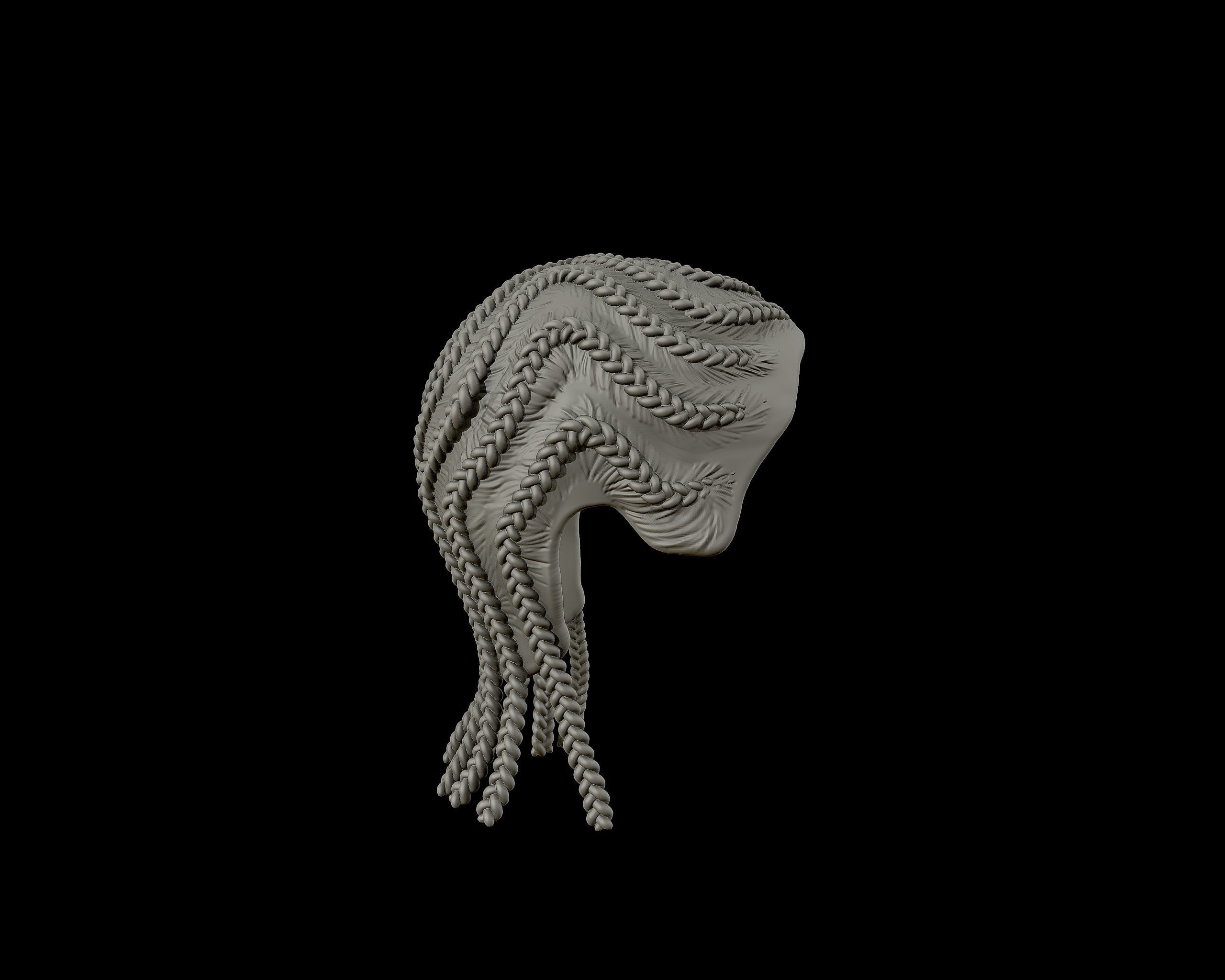 Braid Hairstyle 04 3D print model_18