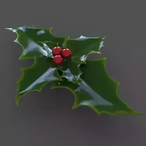 Holly - Agrifoglio