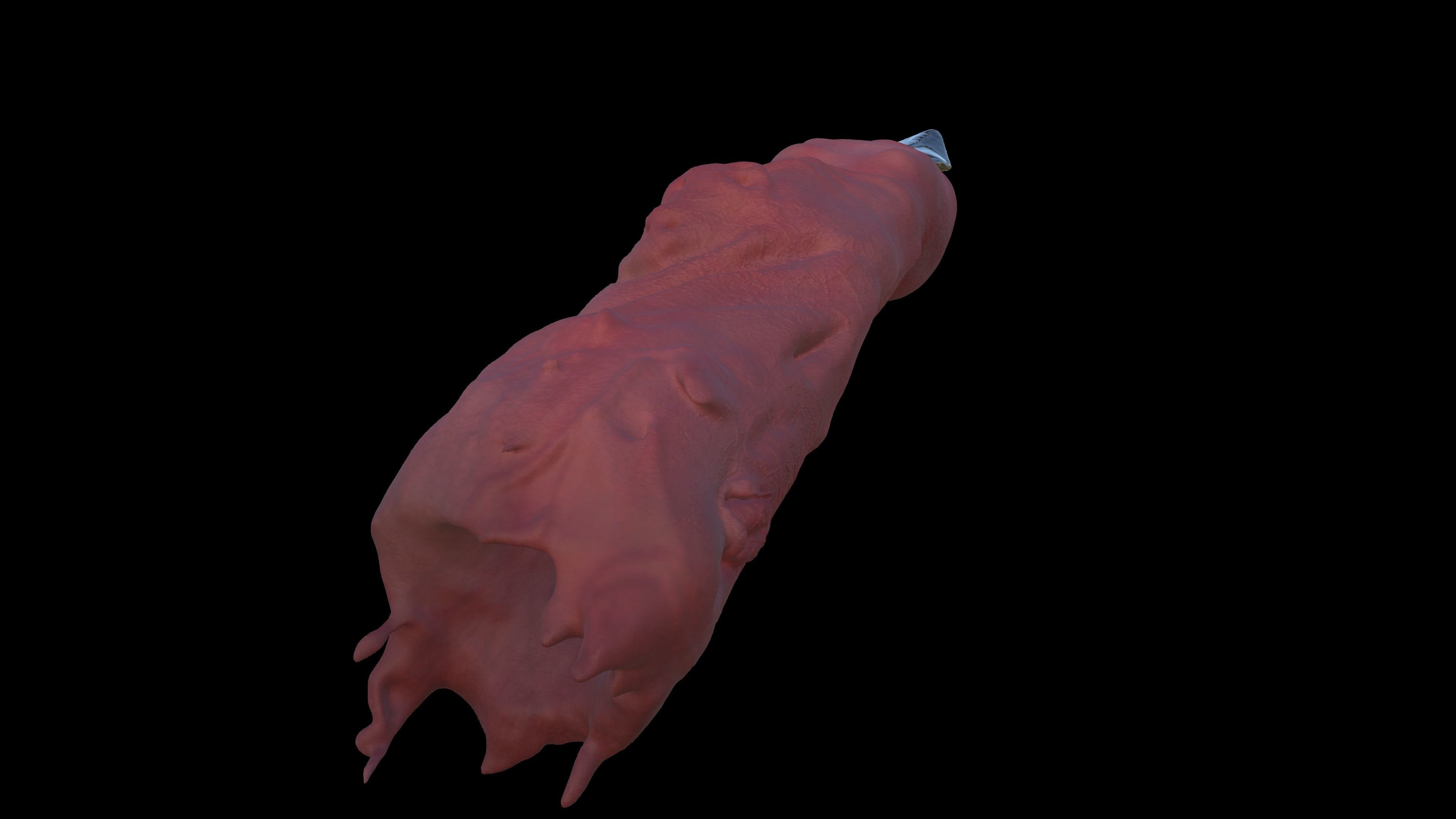 Sukuna Ryoumen Finger Jujutsu Kaisen 3D print model_19