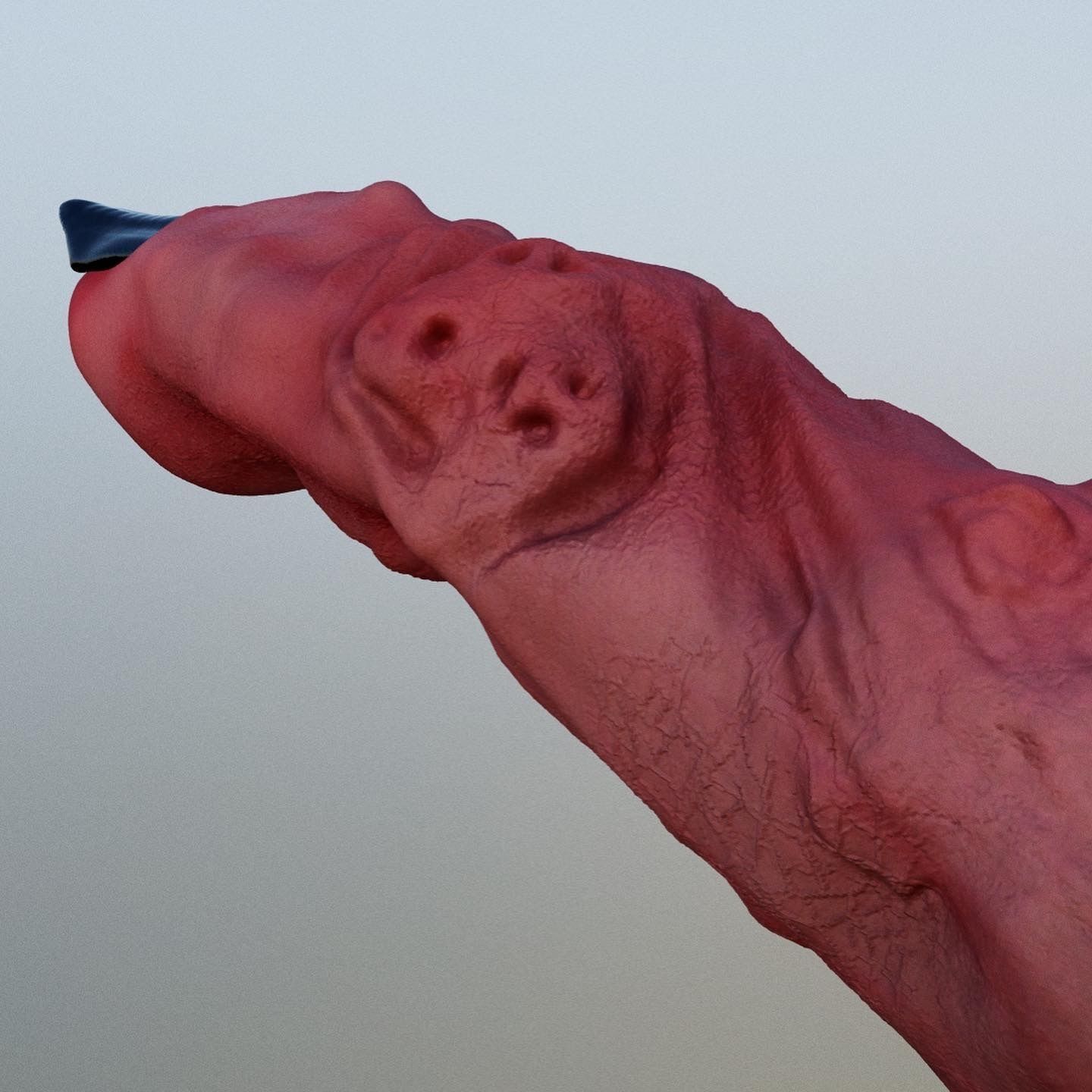 Sukuna Ryoumen Finger Jujutsu Kaisen 3D print model_31